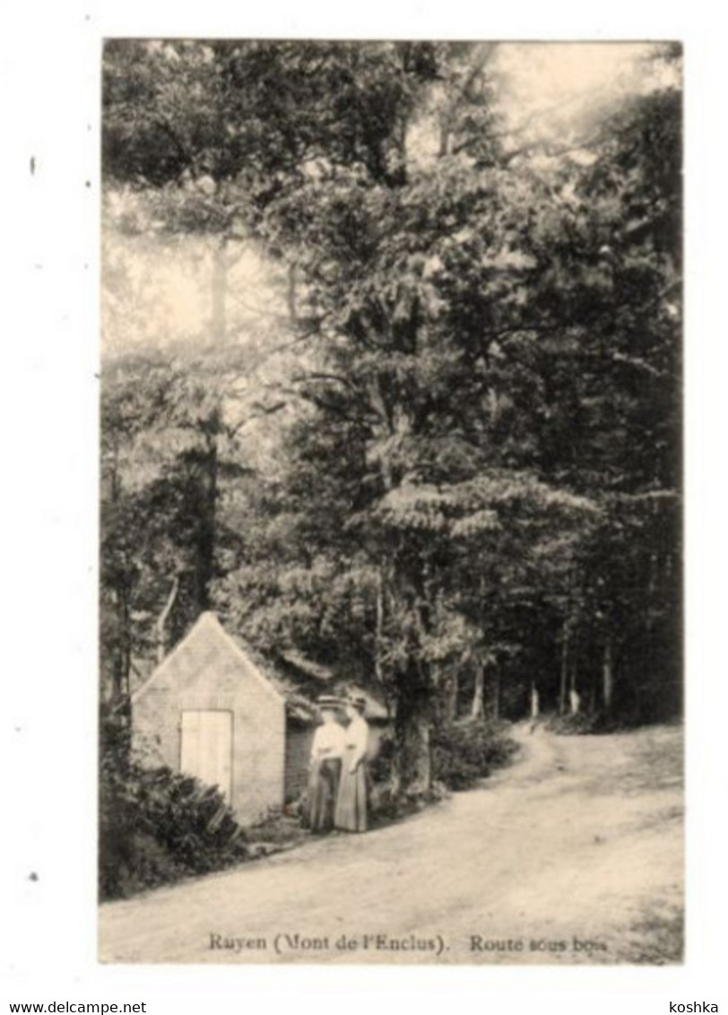 KLUISBERGEN - RUYEN - Mont De L' Enclus - Route Sous Bois - Non Envoyée - Kluisbergen