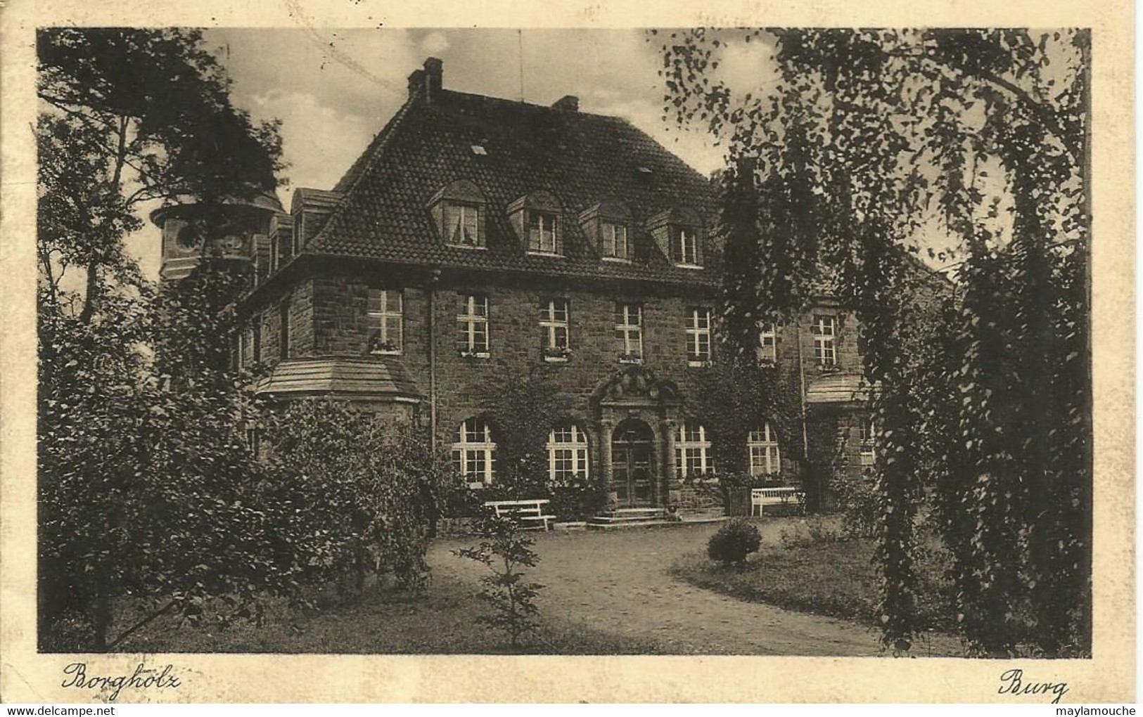 Borgholz - Hoexter