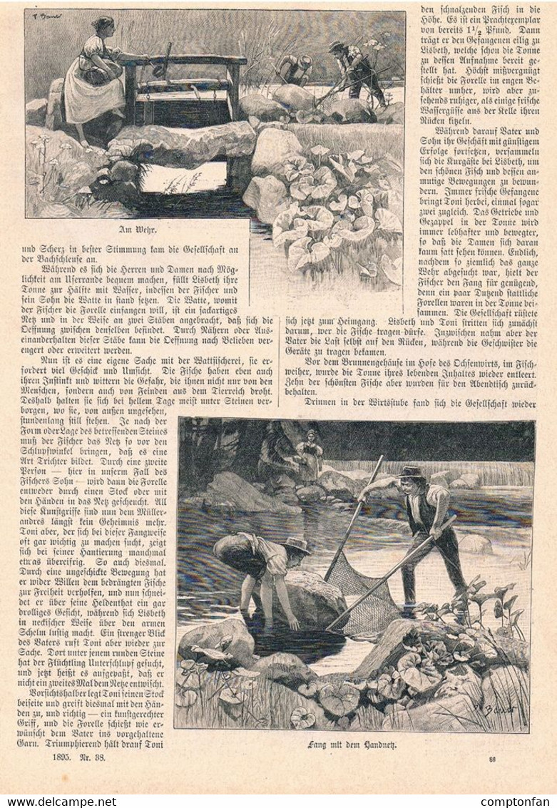 A102 1083 Schwarzwald Forellen Fischerei Artikel / Bilder 1895 !! - Andere & Zonder Classificatie