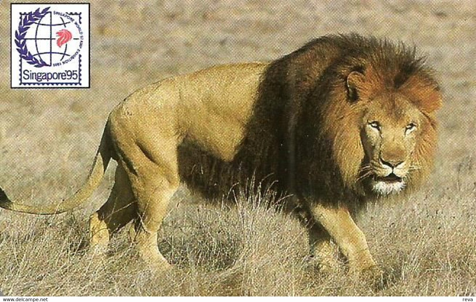 ZAMBIA 100 U  LION ANIMAL  ANIMALS  MINT F A K E !! READ DESCRIPTION !! - Zambie