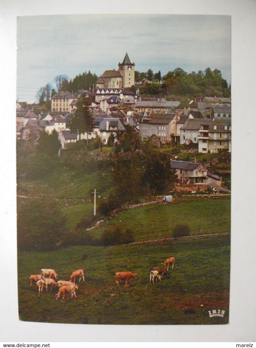 LAGUIOLE Vue Générale,  Troupeau De Vaches Au Premier Plan - CPM 12 AVEYRON - Laguiole