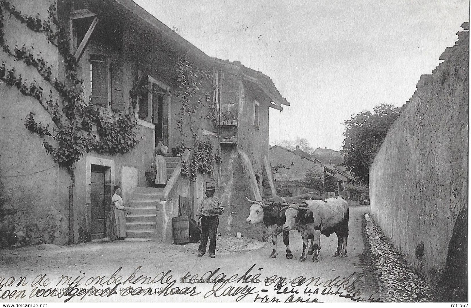 HERMANCE → Rue Du Midi, Paysan Avec Son Attelage De Bœufs 1909 - Hermance