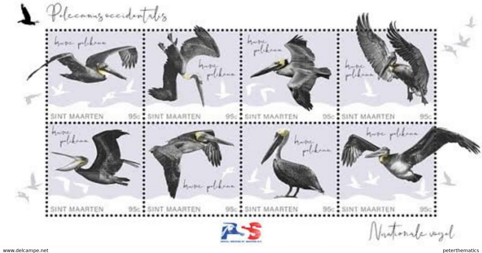 ST. MAARTEN, 2022, MNH, NATIONAL BIRD, BIRDS, PELICAN, SHEETLET - Pélicans