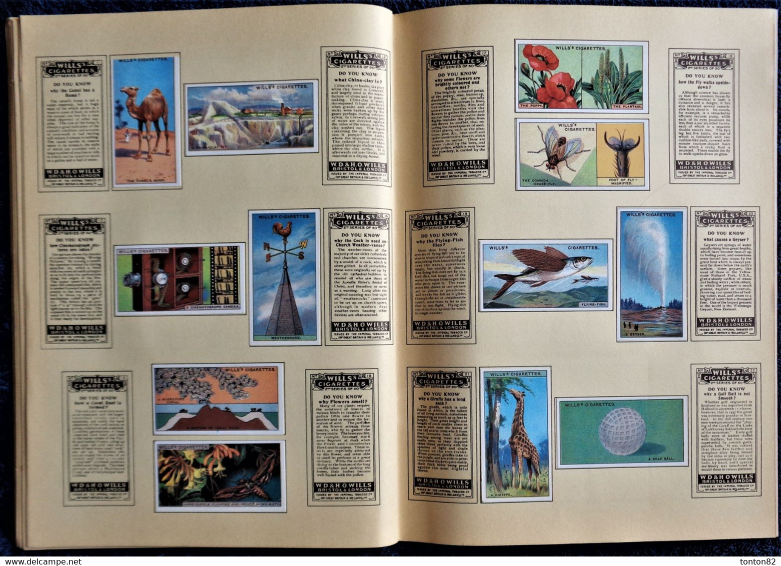 An Album of CIGARETTES CARDS - History & General Knowledge - Album d'Images - ( 1981 ) .