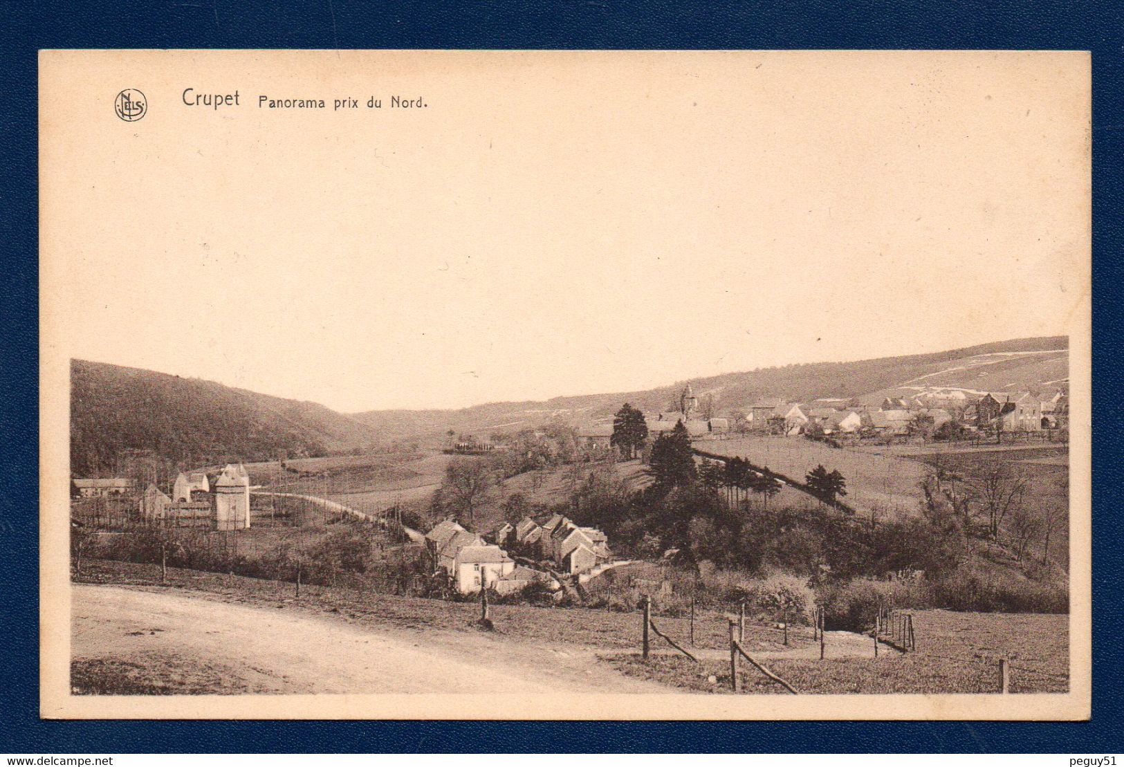 Crupet (Assesse). Panorama Pris Du Nord Avec L'église St. Martin Et Le Château Des Carondelet. 1951 - Assesse