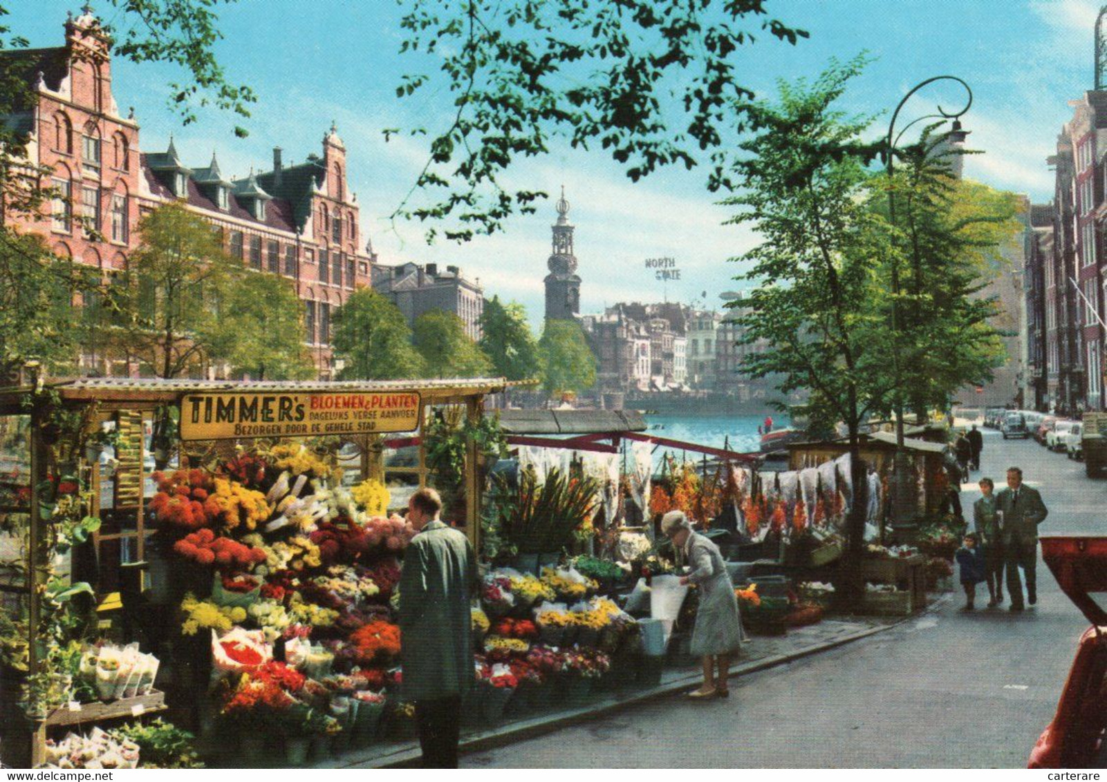 PAYS BAS,HOLLANDE SEPTENTRIONALE,HOLLAND,AMSTERDAM,COMMERCE DE FLEURS,TIMMER'S - Amsterdam