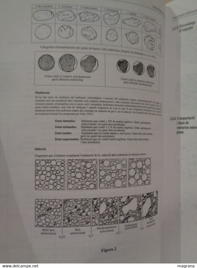 Petrologia Sedimentària De Les Roques Detrítiques. Manual De Pràctiques De Laboratori. David Gómez-Gras. 1999. - Práctico