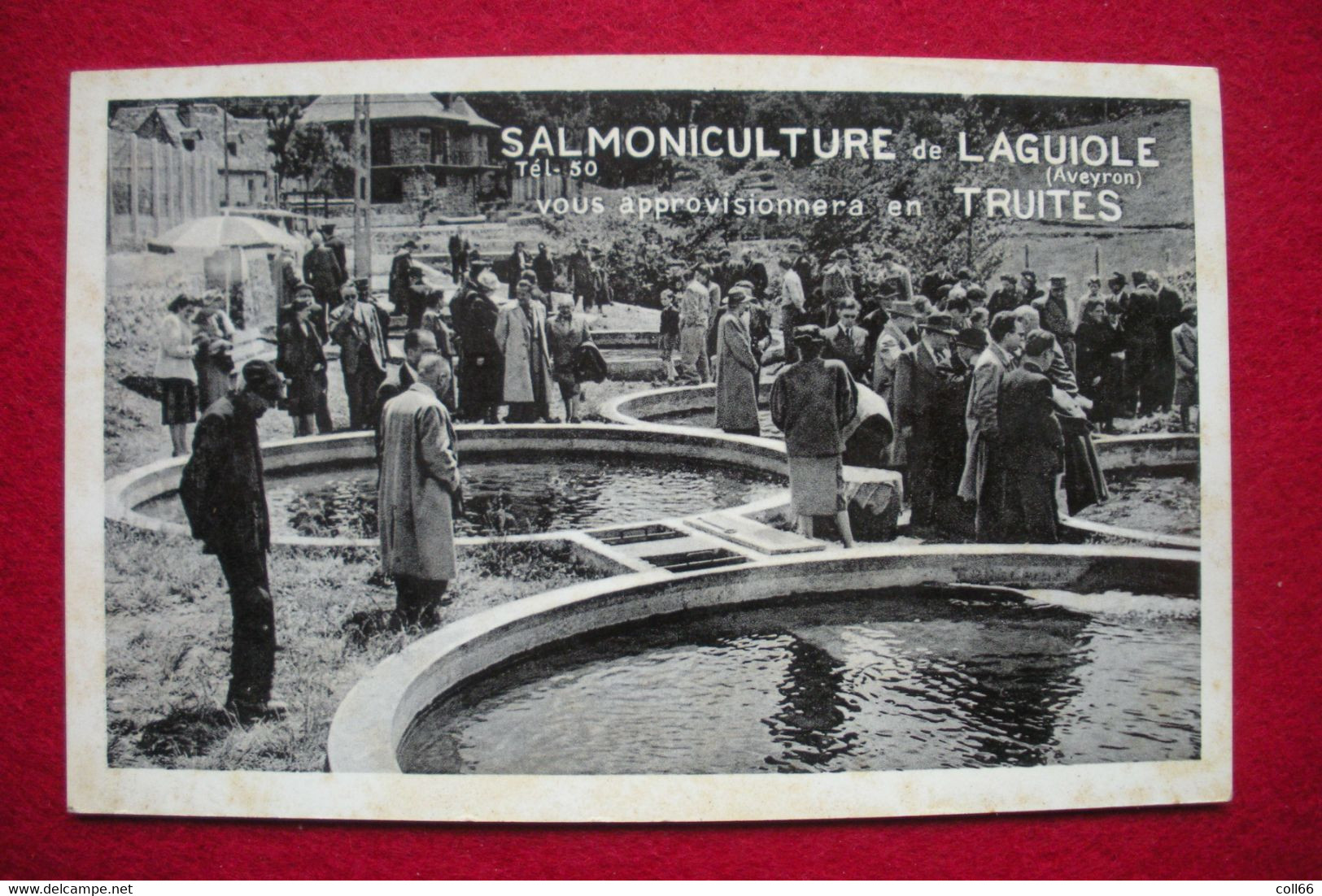 12 Laguiole Salmoniculture élevage Truites 1955 TB Animée éditeur Brasserie Lipp-Balzar Dos Scanné - Laguiole