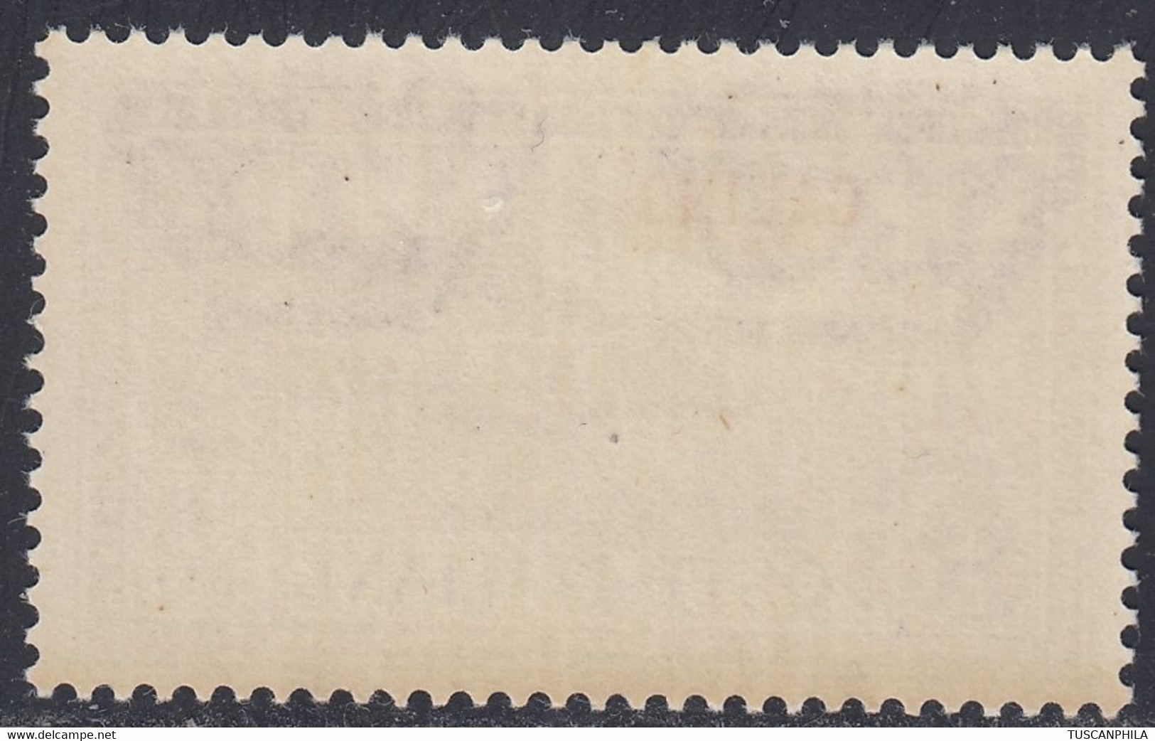1932 1 Valore Sass. 24 MNH** Cv 70 - Egée (Calino)