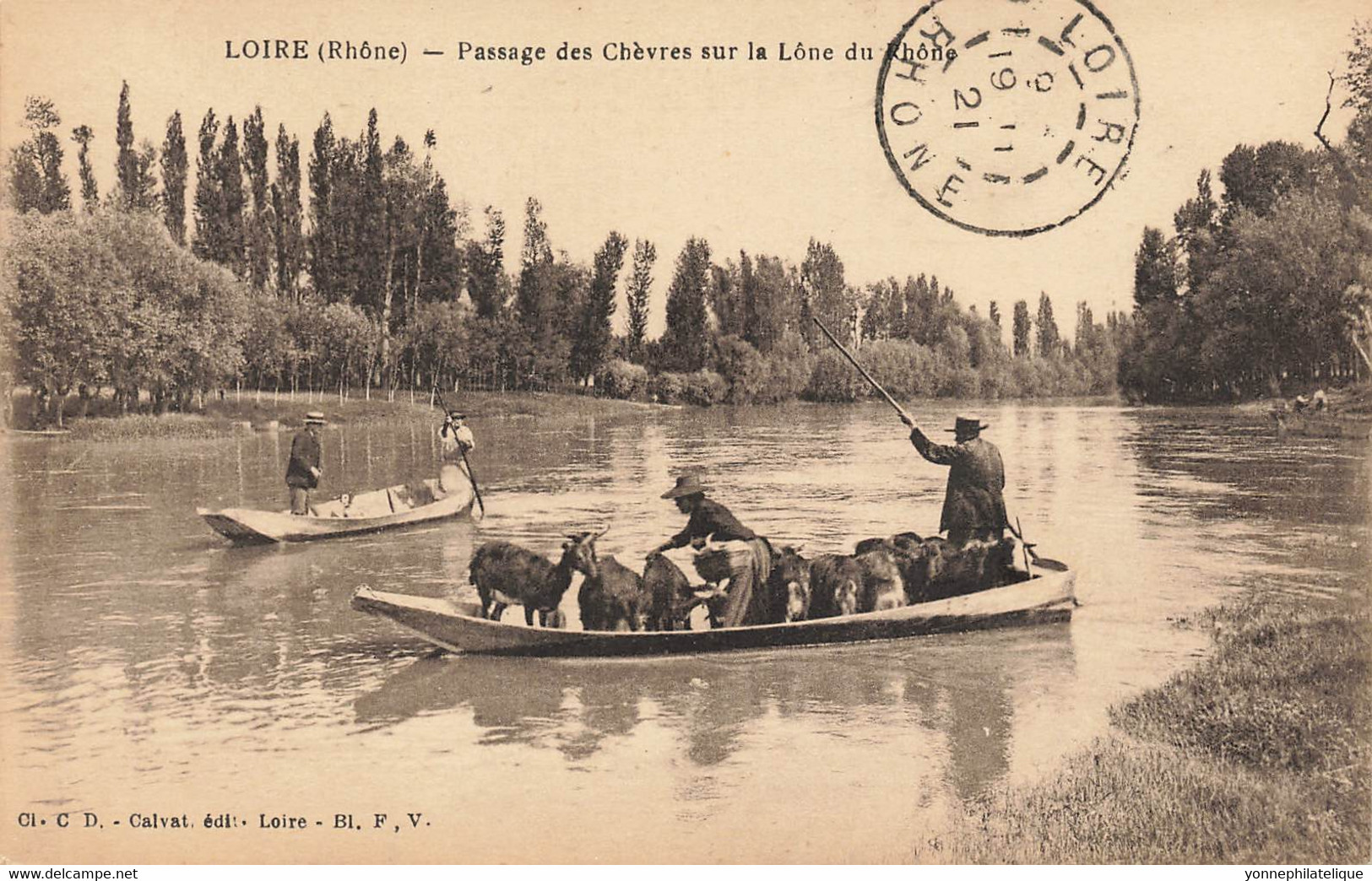 69 - RHÔNE - LOIRE-SUR-RHÔNE - Passage Des Chèvres Sur La Lône Du Rhône - Superbe - 10335 - Loire Sur Rhone