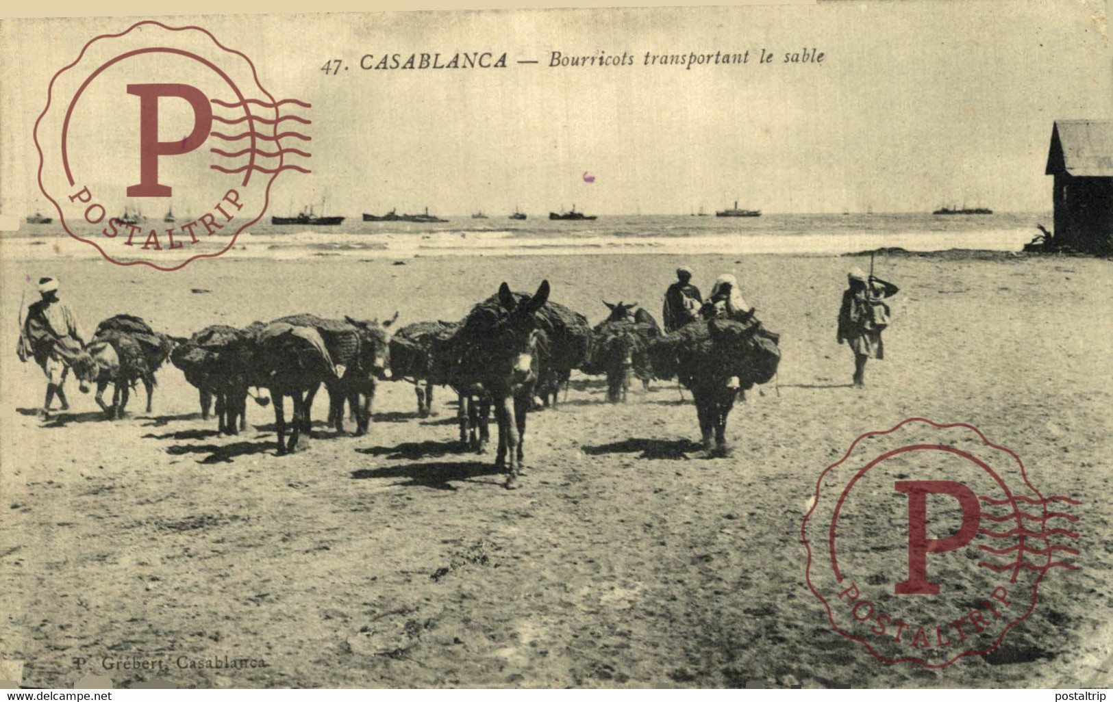CASABLANCA BOURRICOTS TRANSPORTANT LE SABLE ANE DONKEY   MARRUECOS MAROC - Casablanca