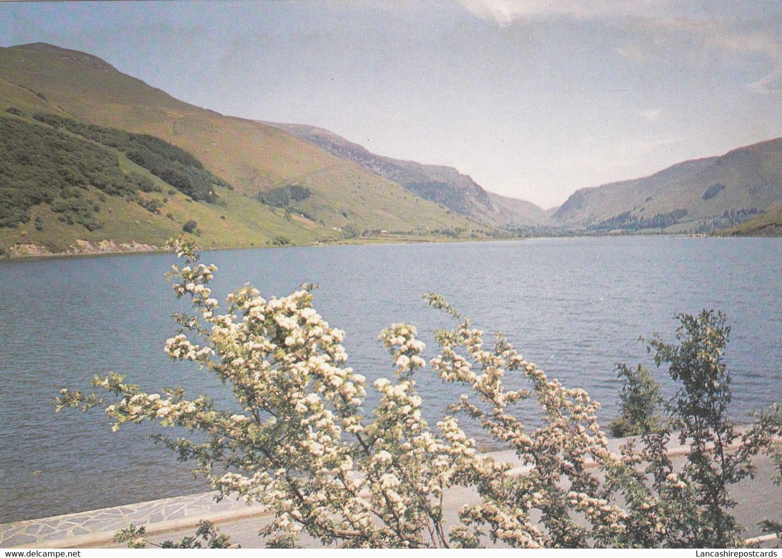 Postcard Tal Y Llyn Lake Gwynedd Wales My Ref B25447 - Unknown County