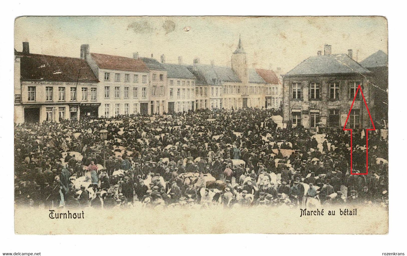 Turnhout Marche Au Betail Ingekleurd (onderaan Bijgesneden) - Turnhout