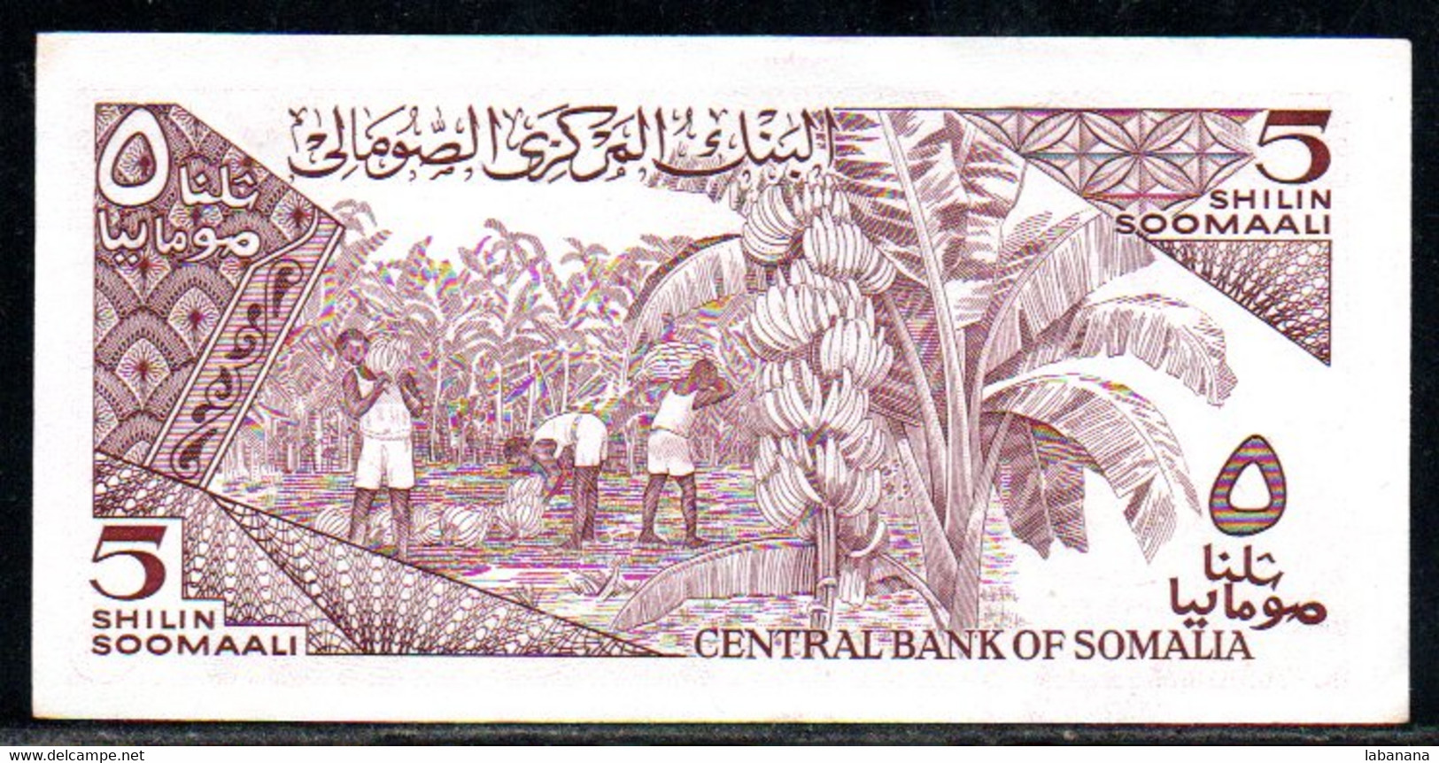 659-Somalie 5 Shillings 1987 D017 - Somalie