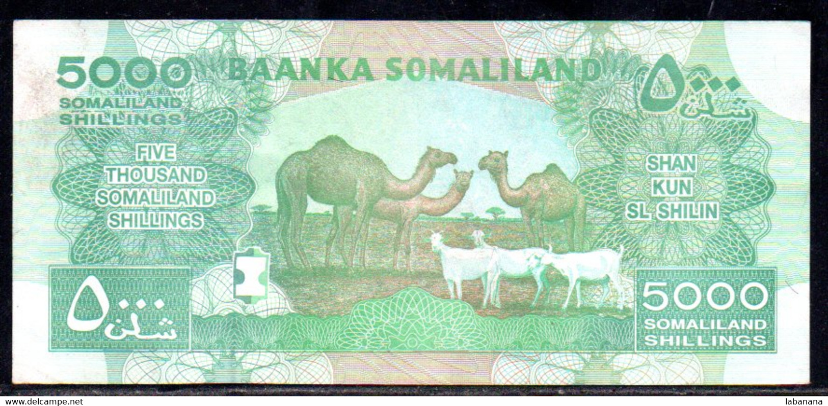 659-Somaliland 5000 Shillings 2015 BT980 Neuf - Somalie