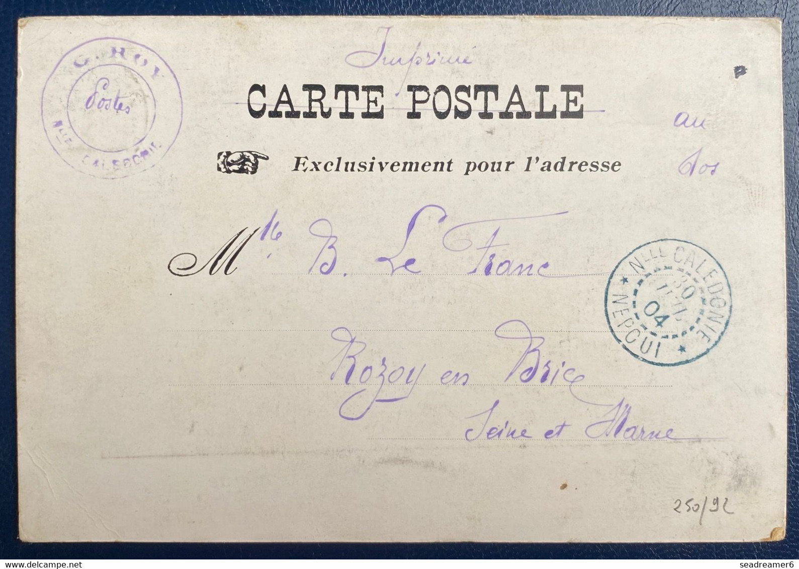 Nouvelle Caledonie CPA Avec N°59 5c Vert Jaune Datée Du 28 Janvier 1904 De NEPOUI Pour Rozoy En Brie RR - Lettres & Documents