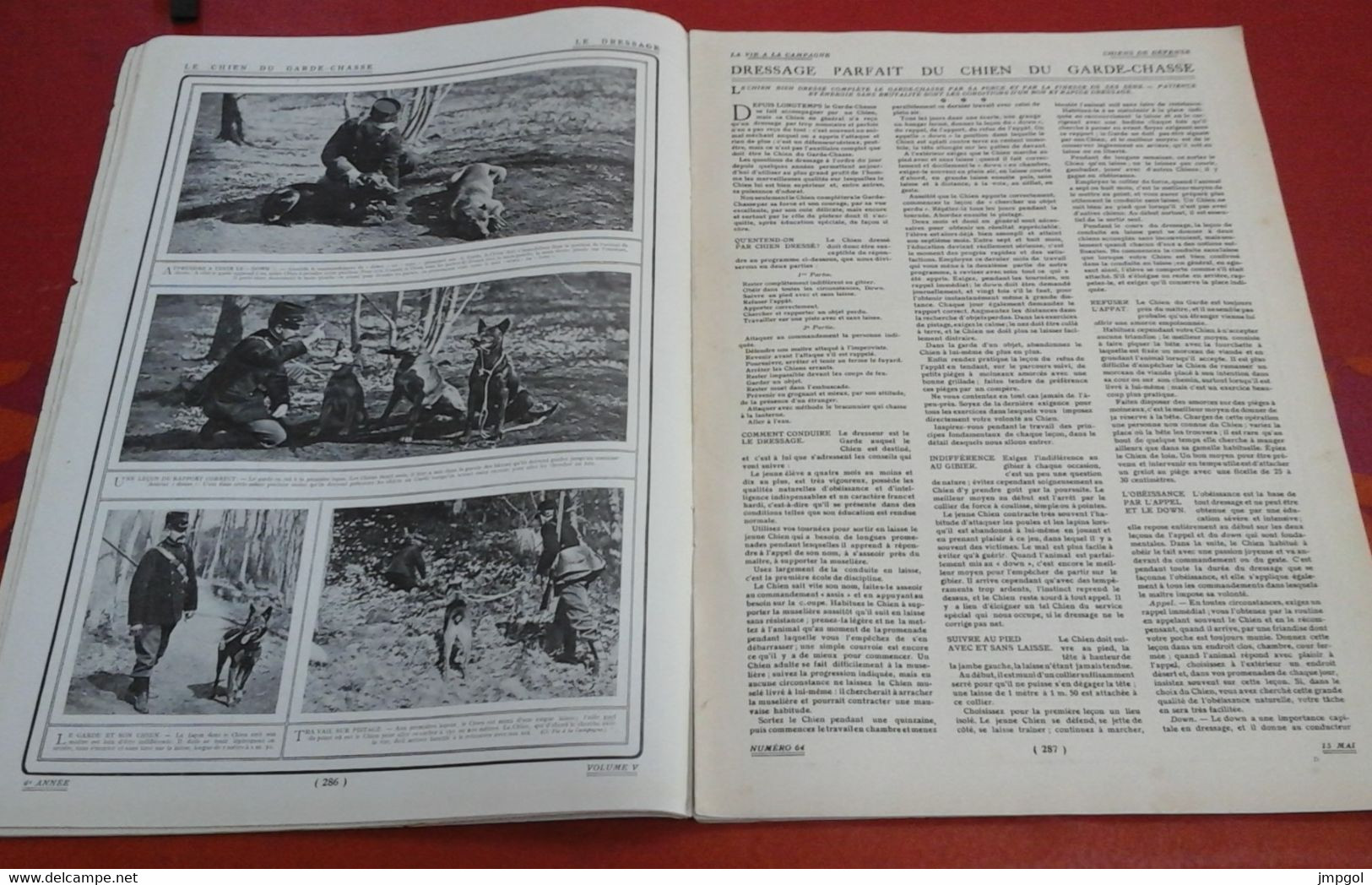 Vie à La Campagne N°64 Mai 1909 Exposition Canine Tuileries Chiens Chasse Pyrénées.. Chandon De Briailles Jardin Epernay - 1900 - 1949