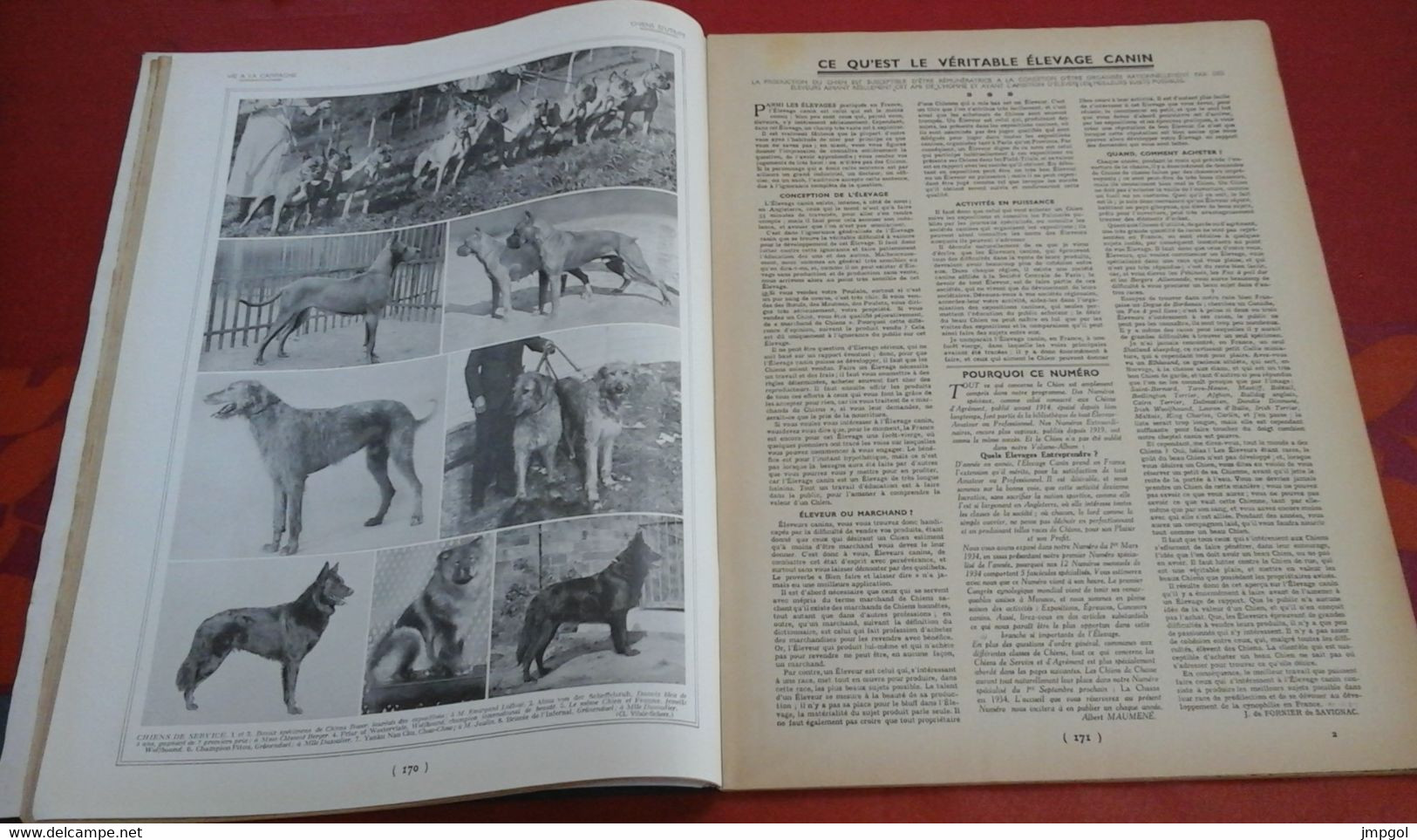 Vie à La Campagne N°371 Mai 1934 Chiens Et Elevages Canins Epagneul Lévrier Caniche La Couharde La Queue Les Yvelynes - 1900 - 1949