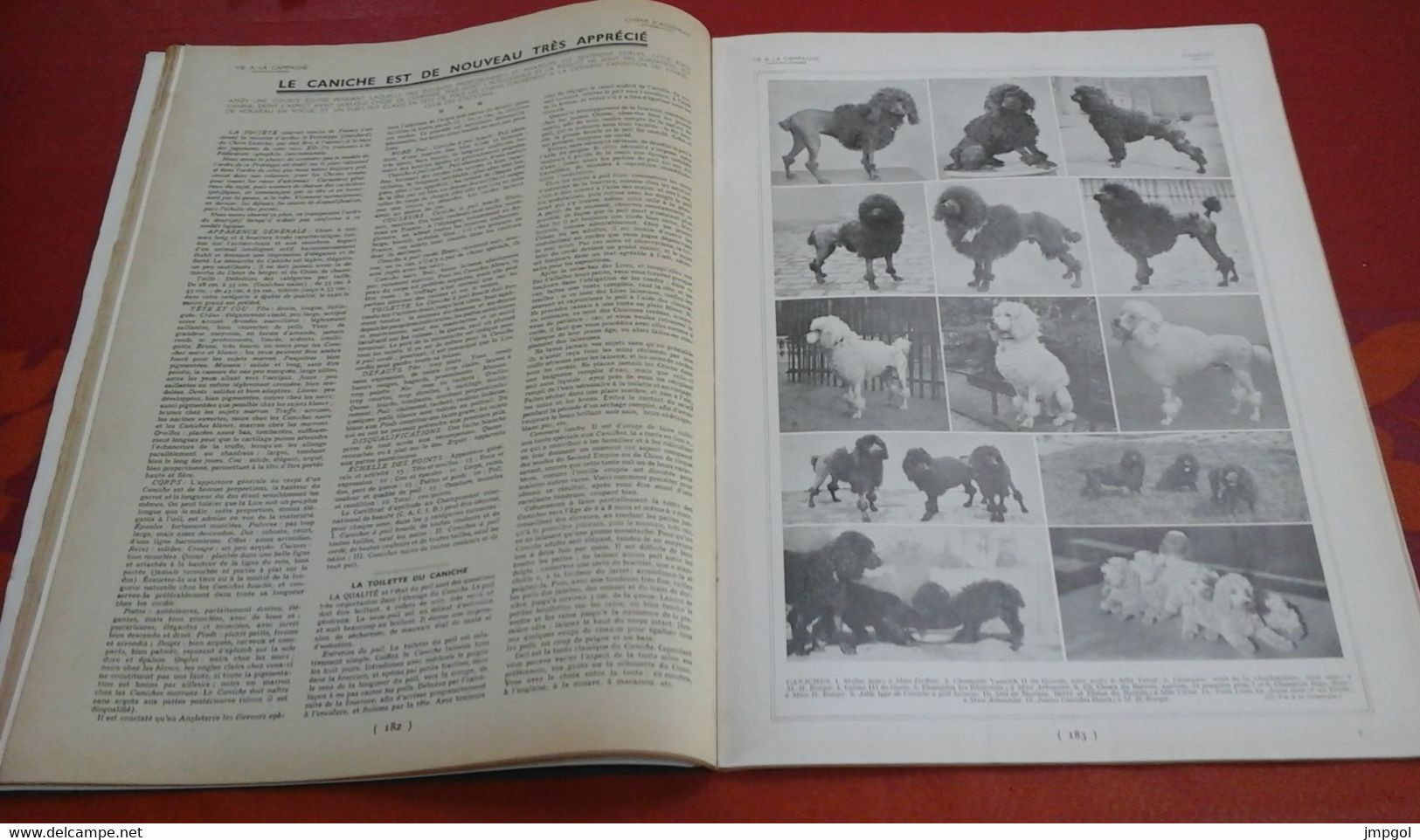 Vie à La Campagne n°371 Mai 1934 Chiens et Elevages Canins Epagneul Lévrier Caniche La Couharde La Queue les Yvelynes