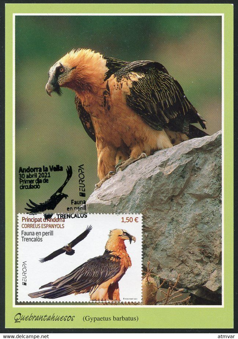 ANDORRA (2021) - Carte Maximum Card EUROPA Fauna, Gypaète, Trencalos, Quebrantahuesos, Gypaetus Barbatus Bearded Vulture - Autres & Non Classés