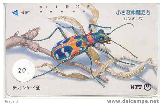 Bug - Punaise - Insect (20) - Other & Unclassified