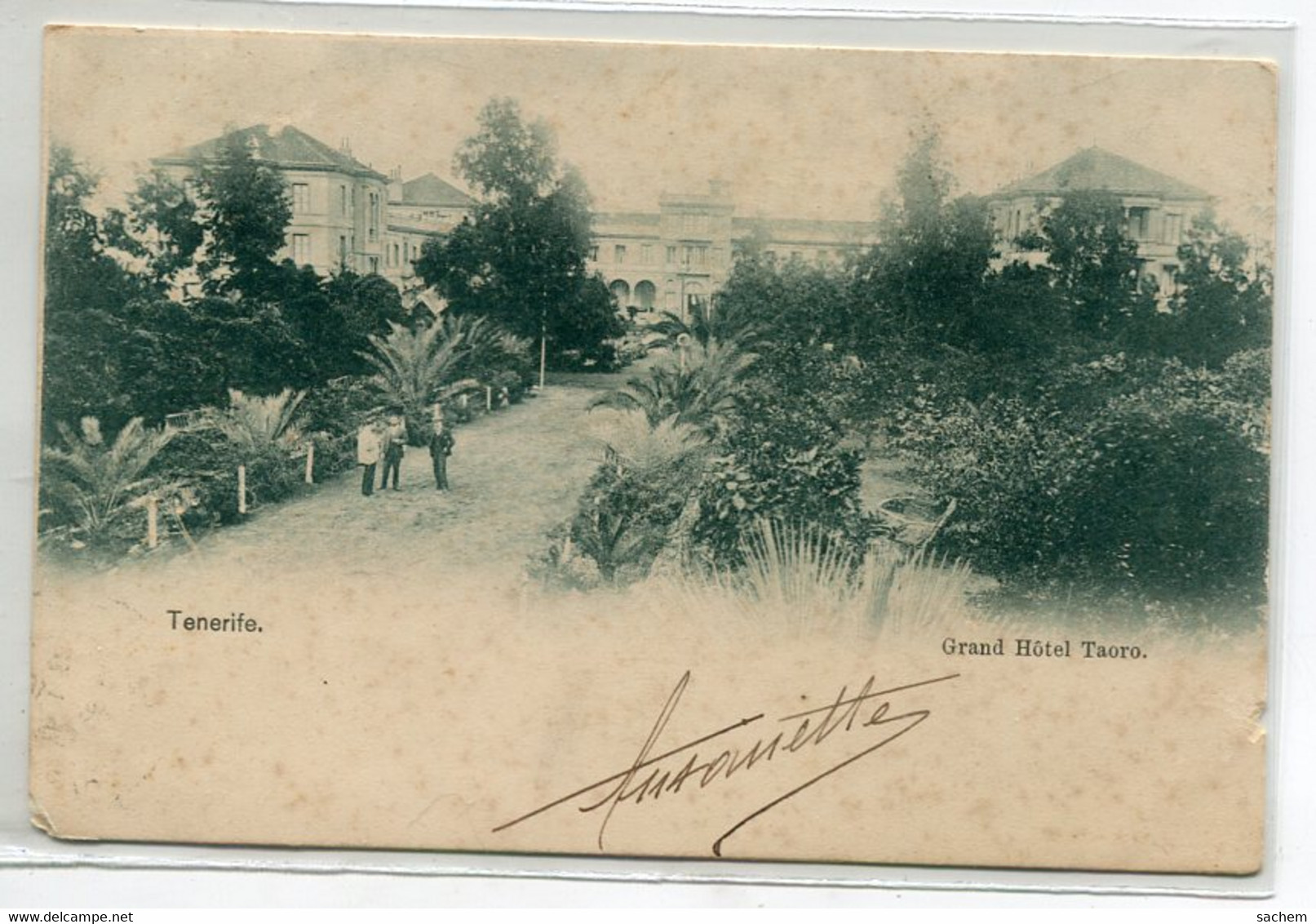 ESPAGNE TENERIFE Carte RARE Grand HOTEL TAORO  Jardin Allée écrite Dos Non Divisé      /D06  2022 - Tenerife