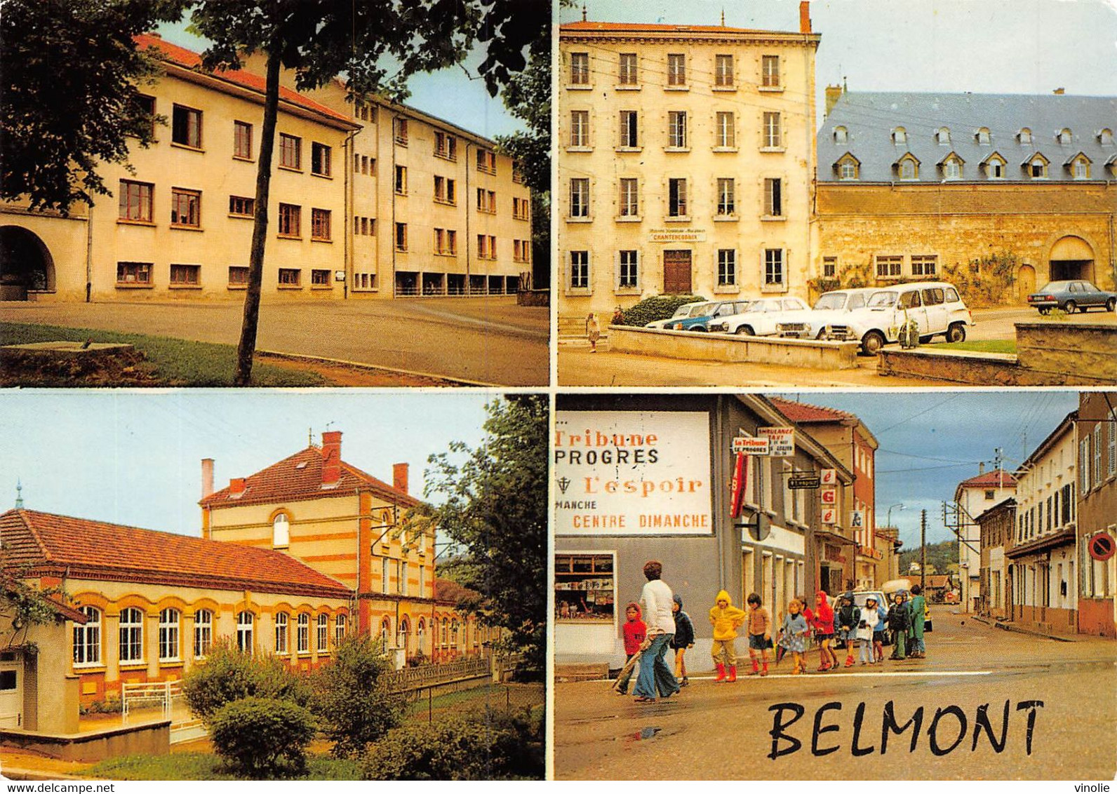 PIE-22-T-PL : 3250 : BELMONT-DE-LA-LOIRE. VUES MULTIPLES - Belmont De La Loire