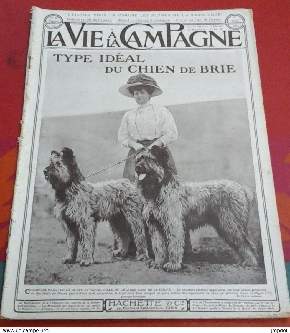 Vie à La Campagne N° 67 Juillet 1909 Chien Briard Ecoles Laiterie Jeunes Filles Kerliver Coëtoglon Château Torcy Fruges - 1900 - 1949