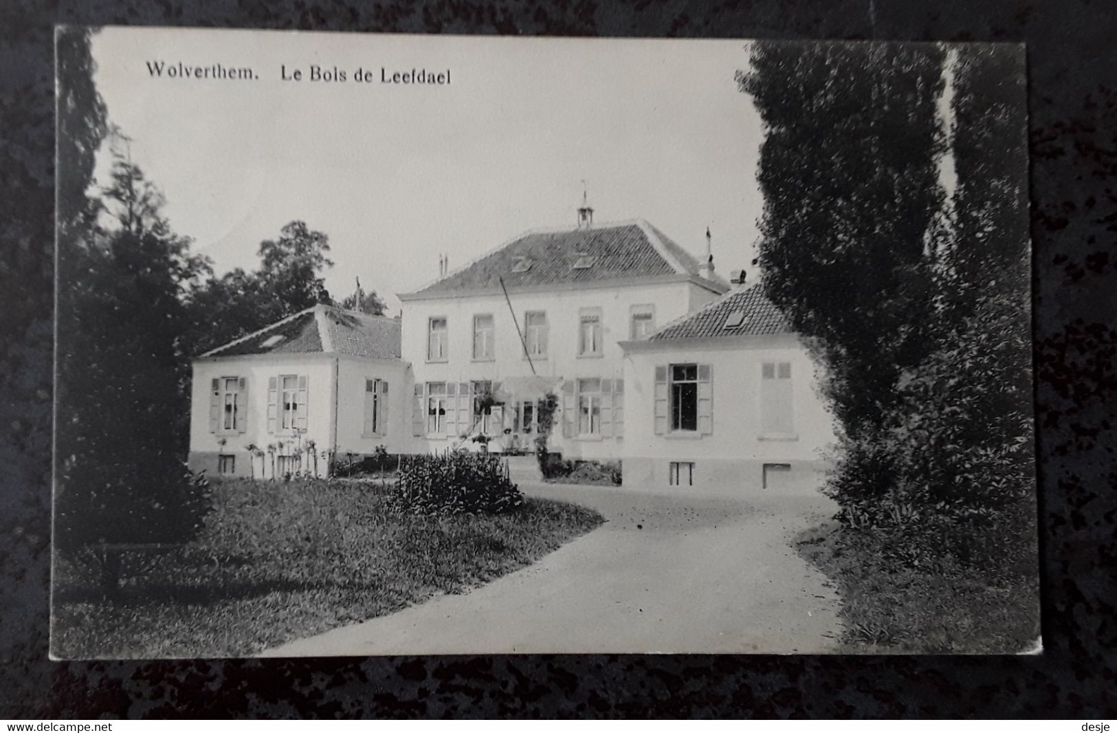 Meysse Wolverthem Westrode Le Bois De Leefdael 1921 - Meise