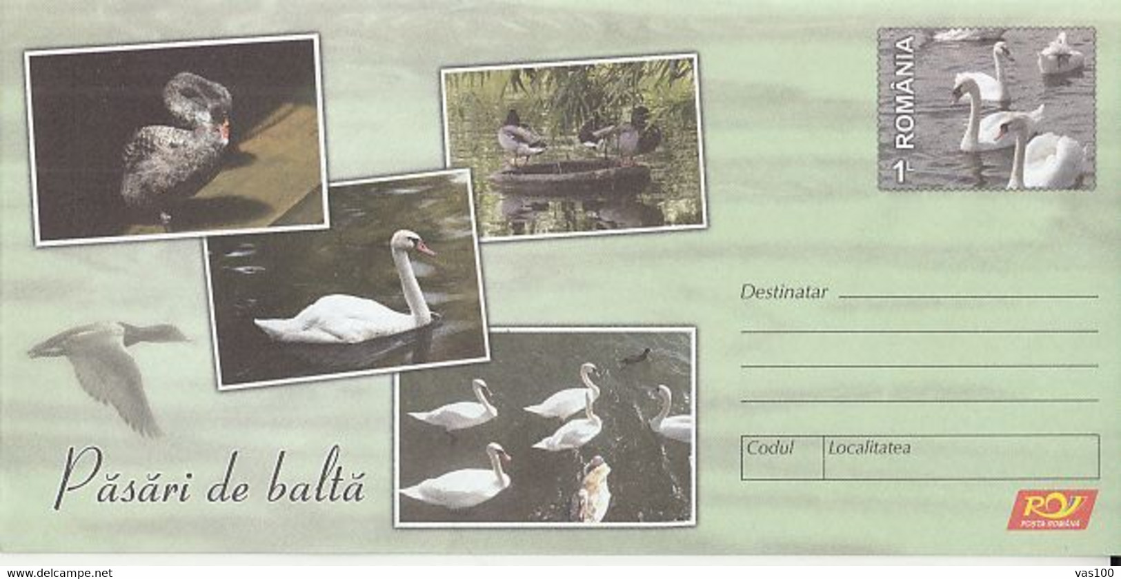 ANIMALS, BIRDS, SWANS, DUCKS, COVER STATIONERY, ENTIER POSTAL, 2015, ROMANIA - Swans