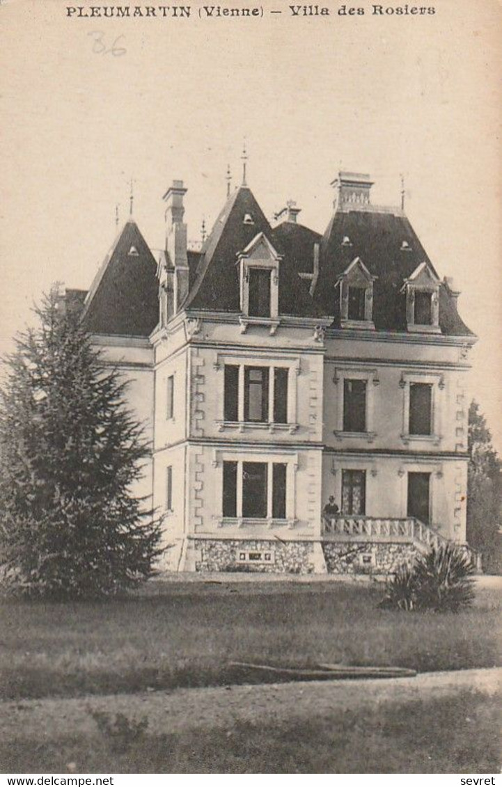 PLEUMARTIN - Villa Des Rosiers. - Pleumartin