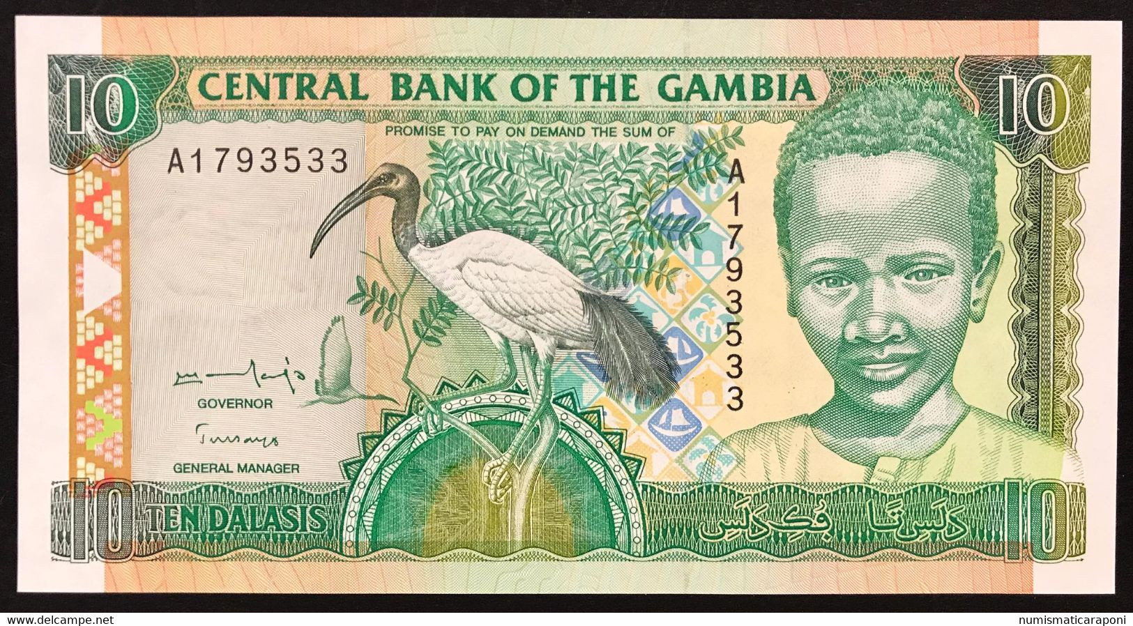 GAMBIA 10 DALASIS 1996  Fds LOTTO.979 - Gambia