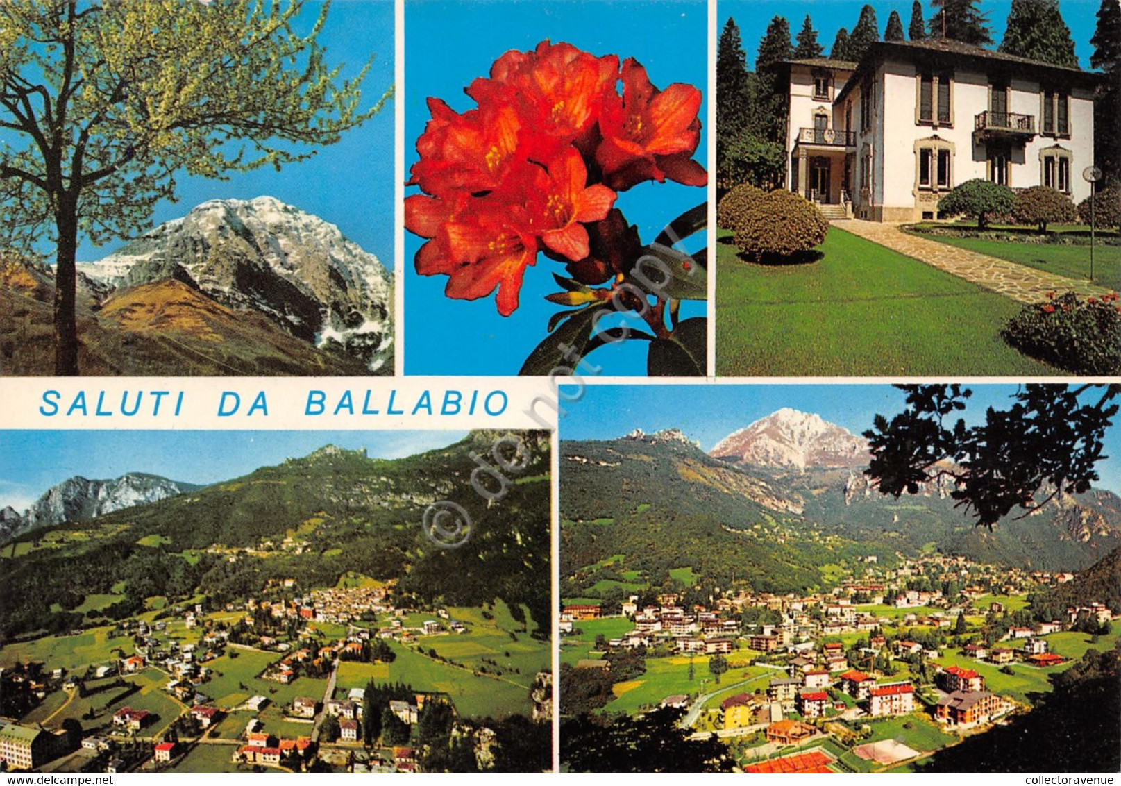 Cartolina Ballabio Vedute Varie Panorama E Fiori Villa (Lecco) - Lecco