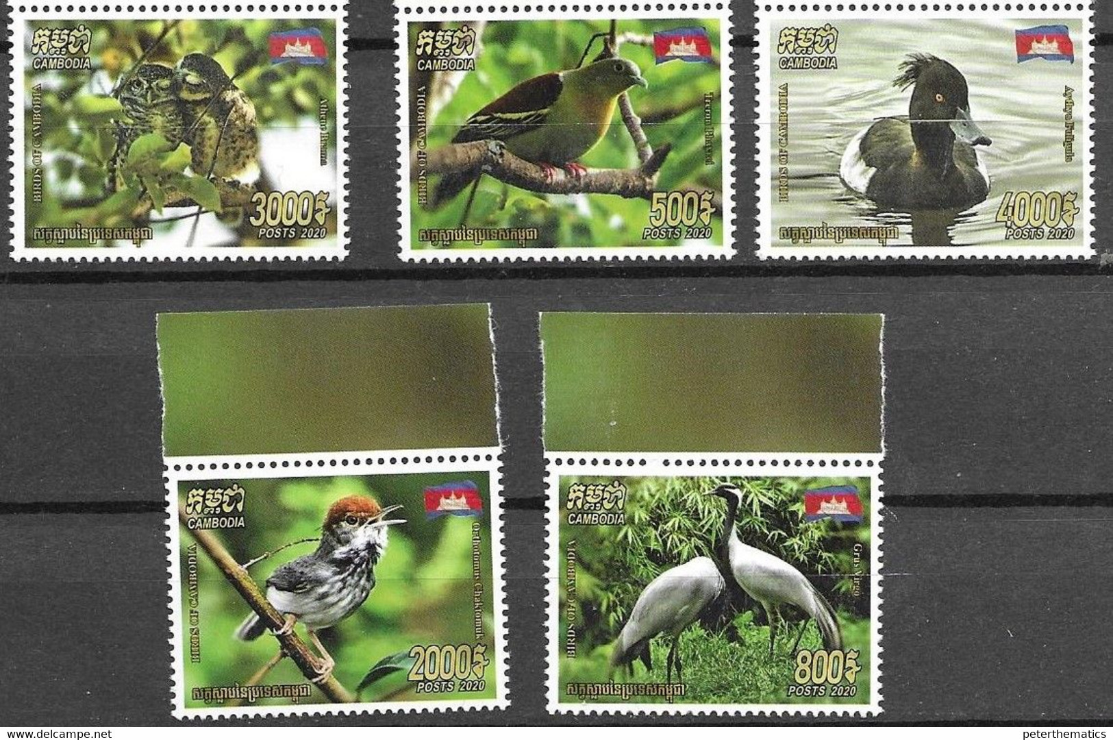 CAMBODIA, 2020, MNH, BIRDS, OWLS, DUCKS, 5v - Other & Unclassified