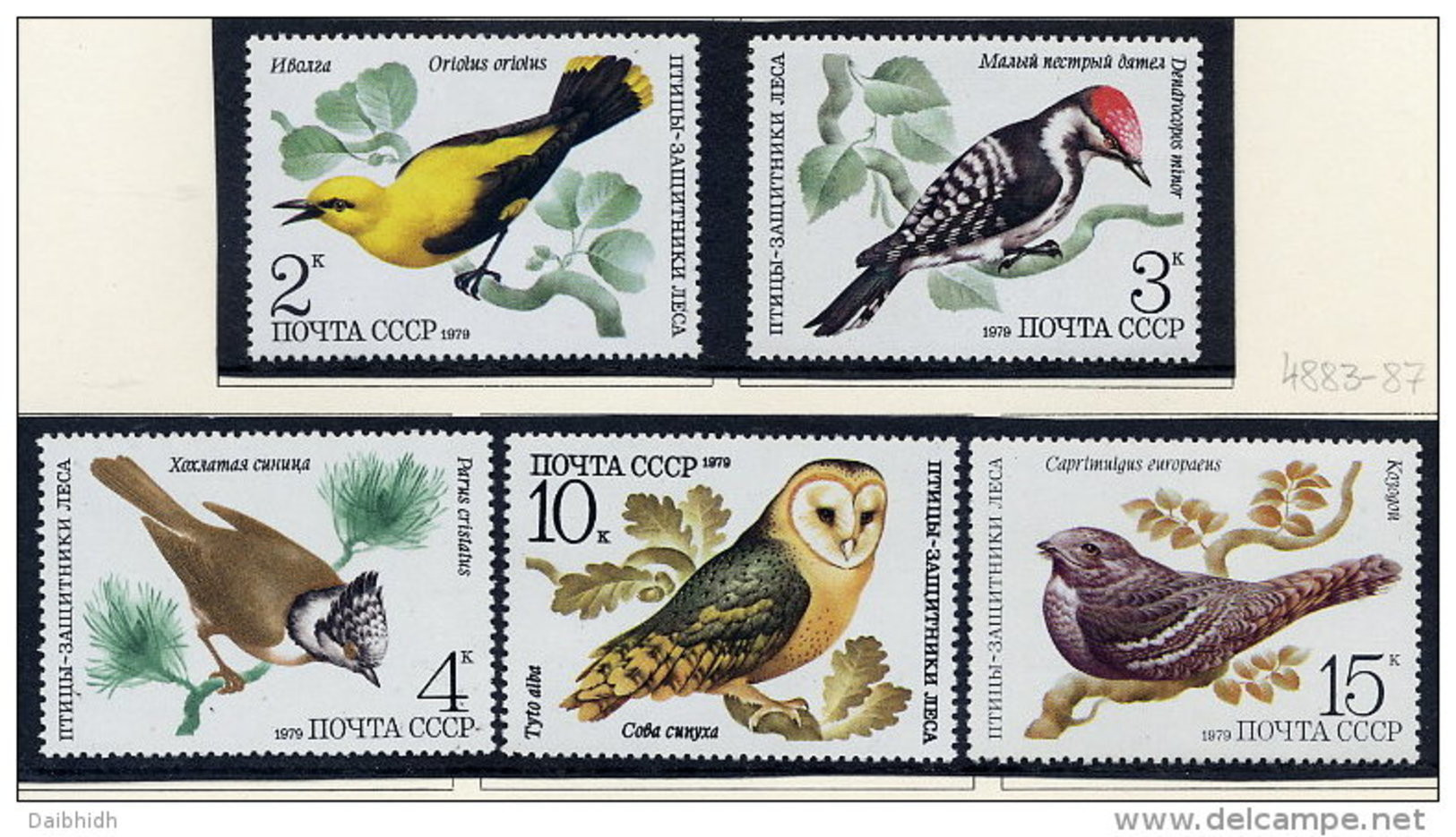 SOVIET UNION 1979 Woodland Birds Set Of 5 MNH / **.  Michel 4883-87 - Unused Stamps
