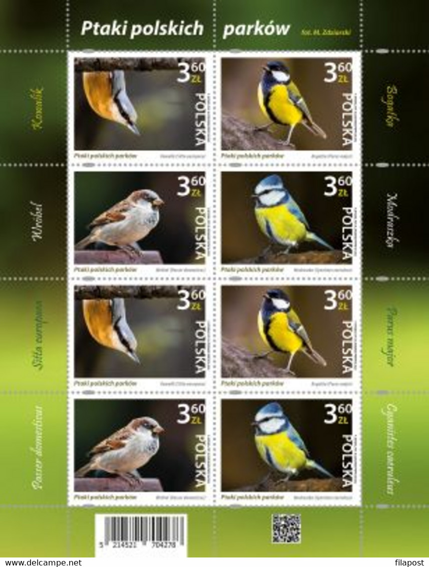 Poland 2022 / Birds Of The Polish Parks - Eurasian Blue Tit, House Sparrow, Great Tit, Eurasian / Full Sheet MNH** New! - Sparrows