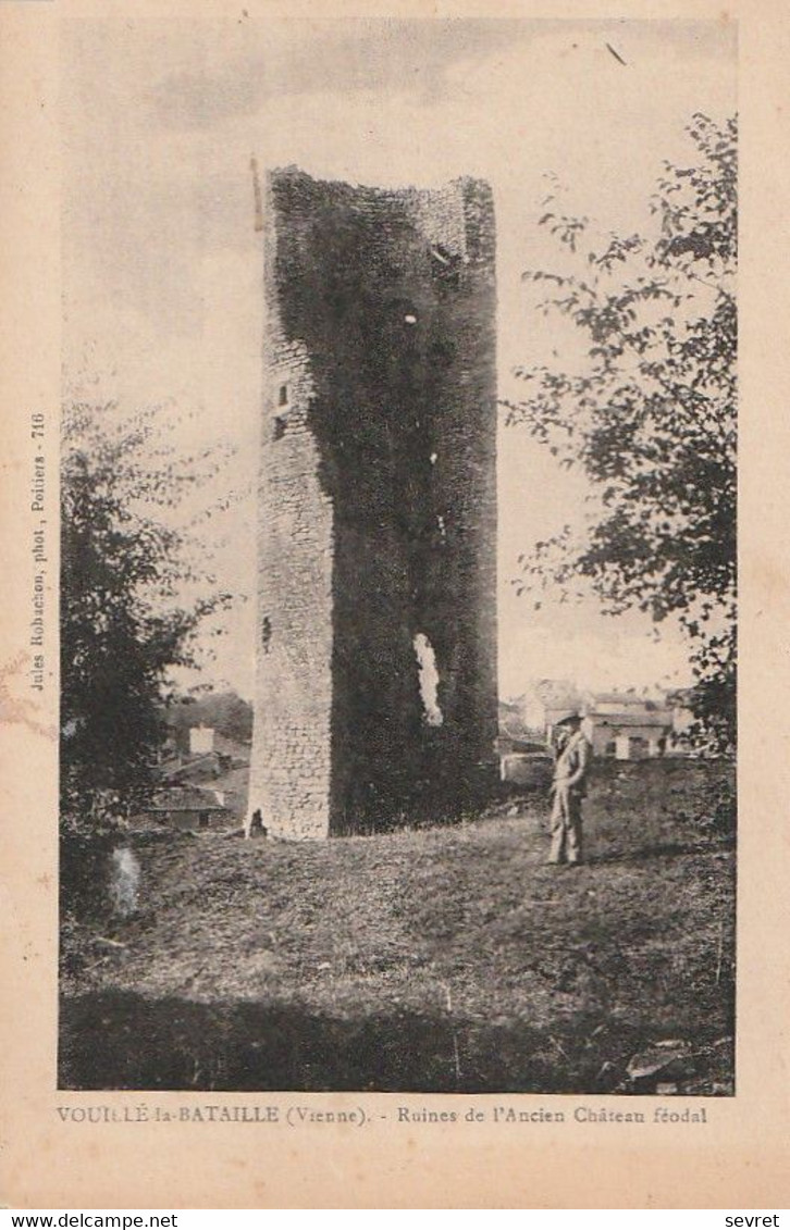 VOUILLE-la-BATAILLE. -  Ruines De L'Ancien Château Féodal - Vouille