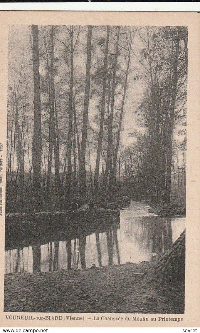 VOUNEUIL-sous-BIARD. - La Chaussée Du Moulin Au Printemps - Vouneuil Sous Biard