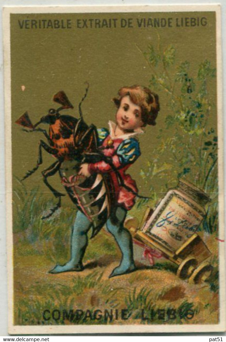 Chromo LIEBIG : S 91 / C  - Insectes Et Chenilles / Insetti E Bambini - 1878-1883 - Liebig