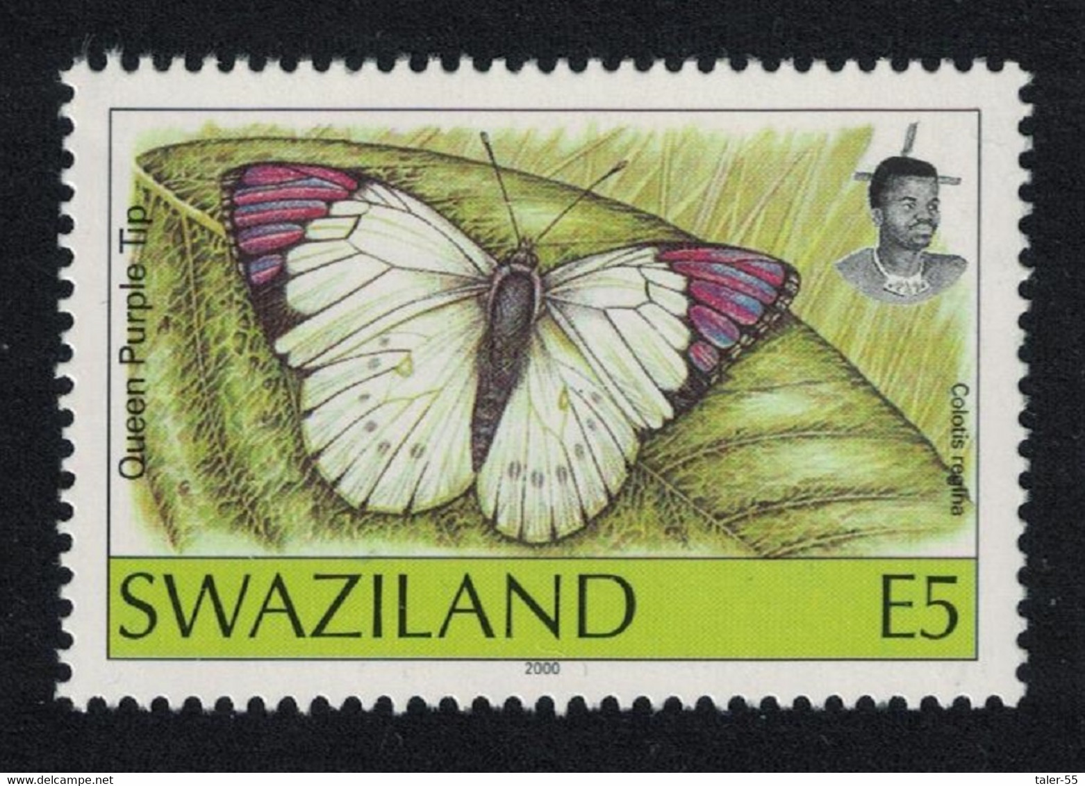 Swaziland Butterfly 'Cololis Regina' E5 Imprint '2000' MNH SG#618 - Swaziland (1968-...)