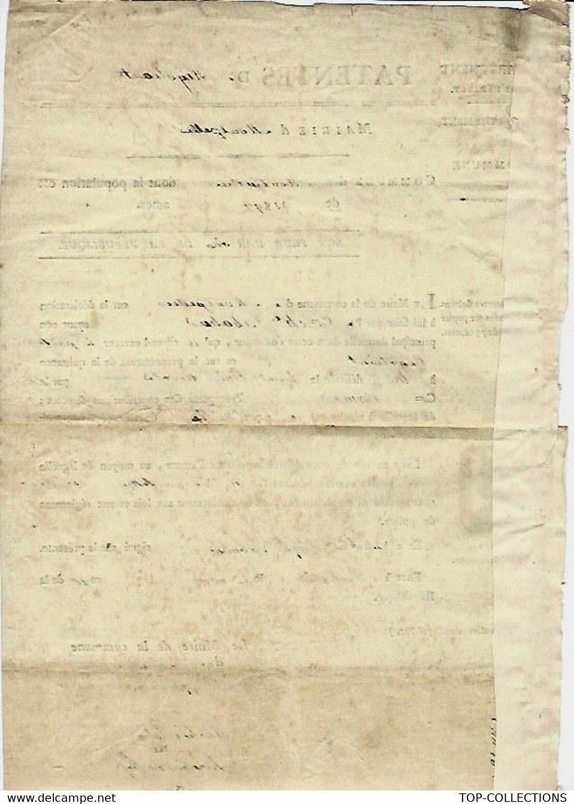 1802 PATENTE DE NEGOCIANT MAIRIE DE MONTPELLIER PATENTE DE NEGOCIANT AVEC SIGNATURES VOIR SCANS - Documents Historiques