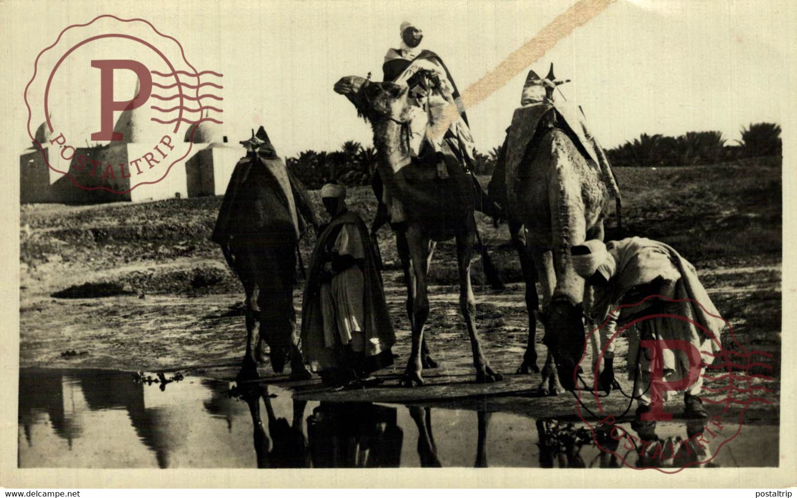 RPPC LA HALTE PRES DU MARABOUT   MARRUECOS MAROC - Marrakech