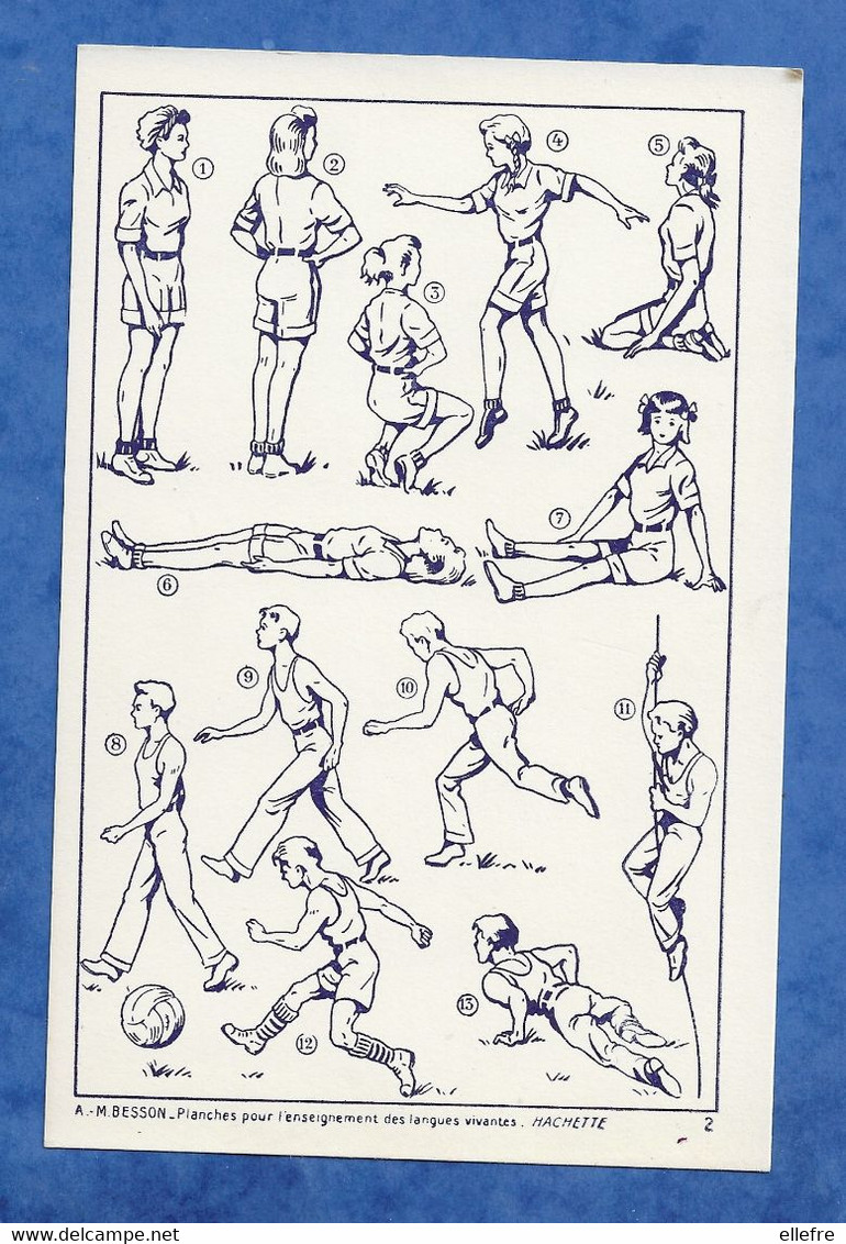 Ecole Planche A.m Besson  Hachette Planche Pour L'enseignement Des Langues Vivantes Thème Le Sport La Gymnastique - Platten Und Echtzeichnungen