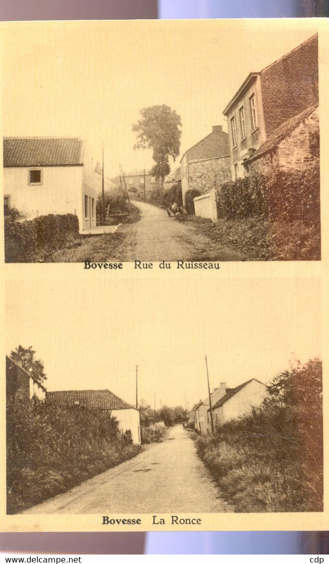 Cpsm  Bovesse - La Bruyère