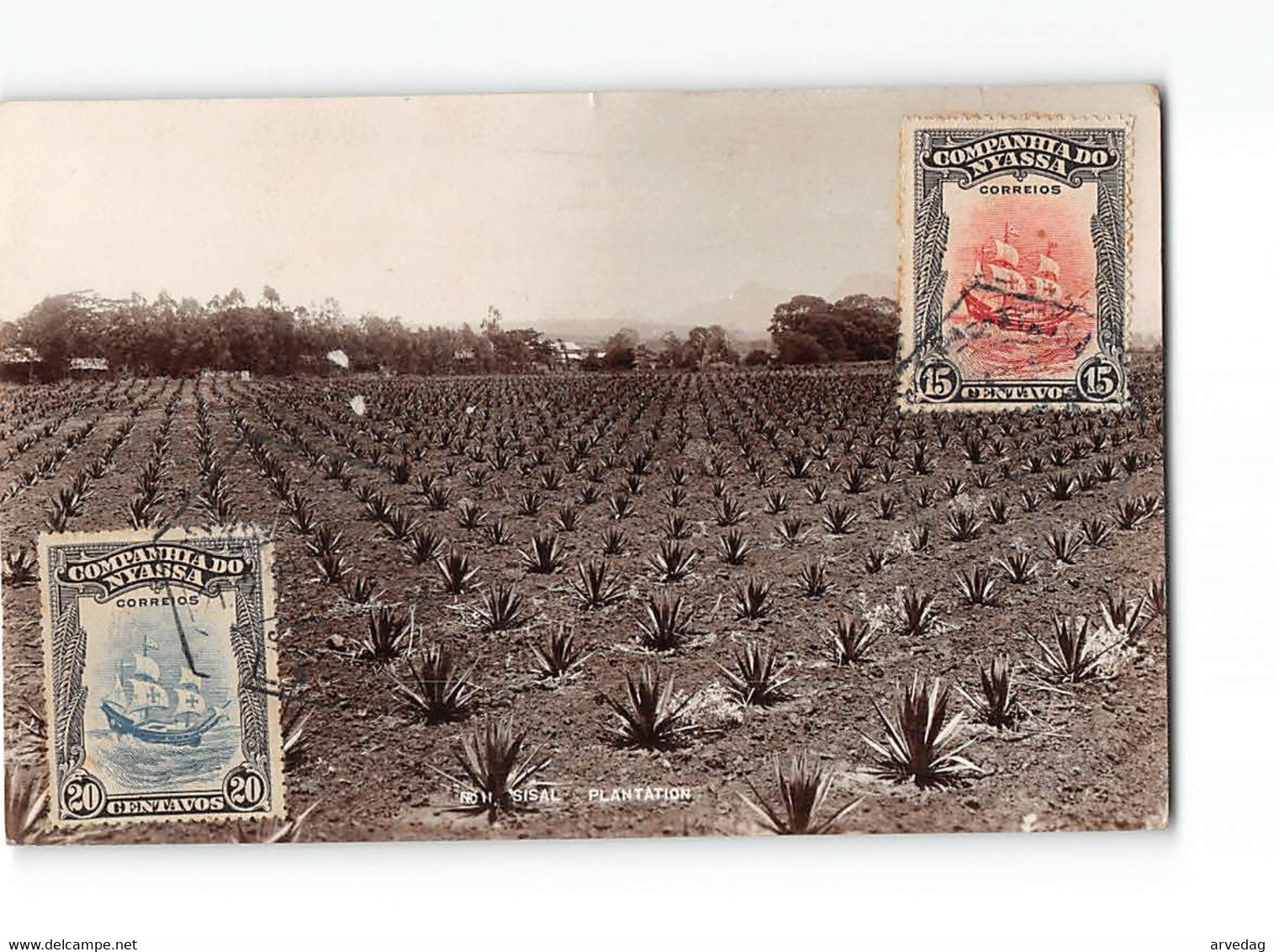 X212 SISAL PLANTATION - COMPANHIA DO NYASSA STAMPS - LAGO METENGULA FORT JOHNSTON - Unclassified