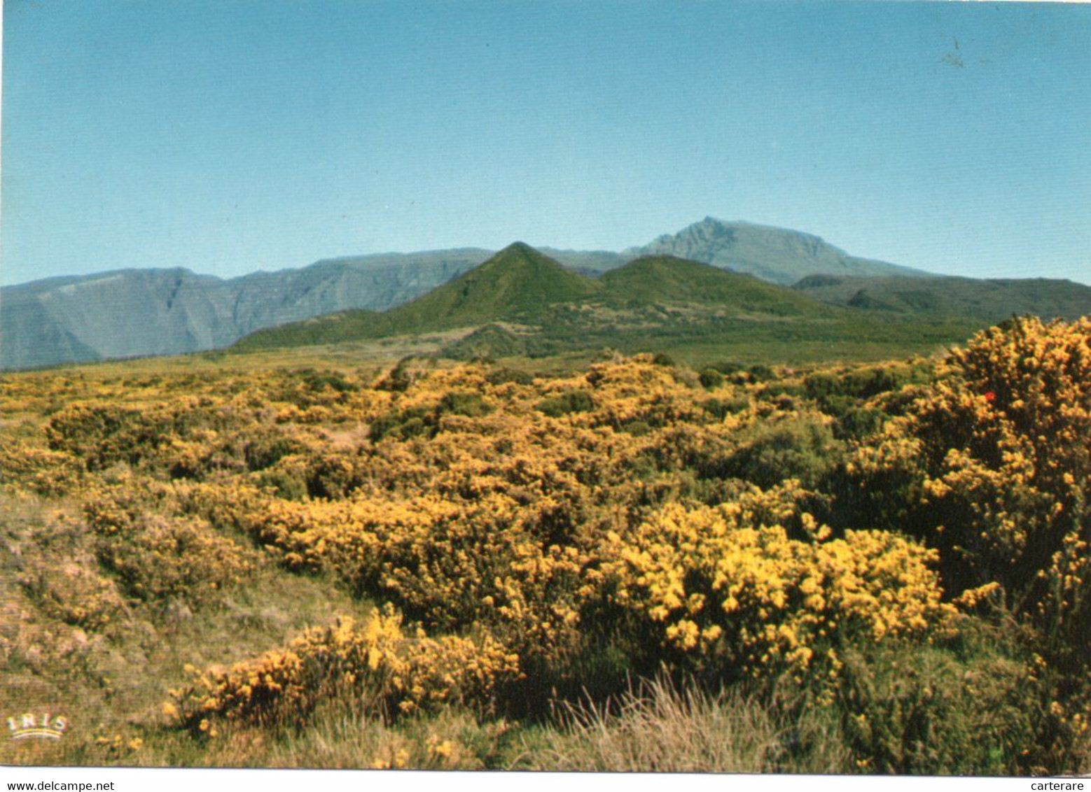 Ile De La Réunion,ile Française,outre Mer,archipel Des Mascareignes,océan Indien,CAFRES - Saint Pierre