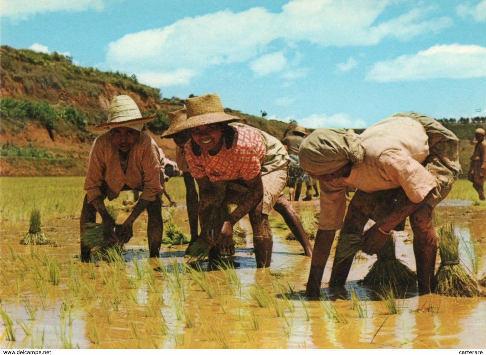 MADAGASCAR,MADAGASIKARA,MALAGASY,ile,sud équateur,ex Colonie Française,MALGACHE,METIER - Madagascar