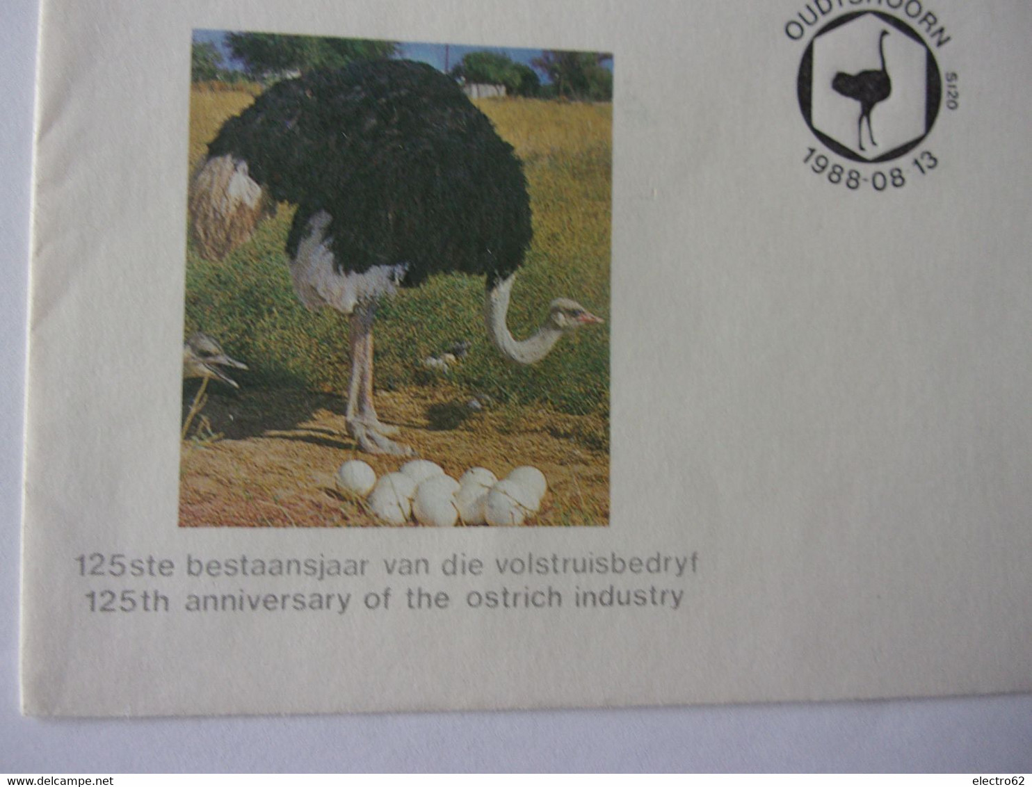 RSA L'industrie De L'Autruche à Outshoorn Afrique Du Sud Mémorial Aux Huguenots Monument Ostrich Strauß Struzzo Avestruz - Struisvogels