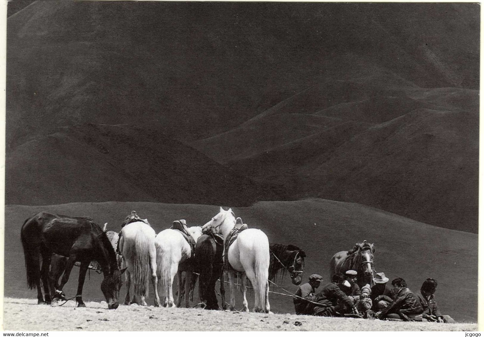 MONGOLIE  THE HERDSMEN - Mongolië