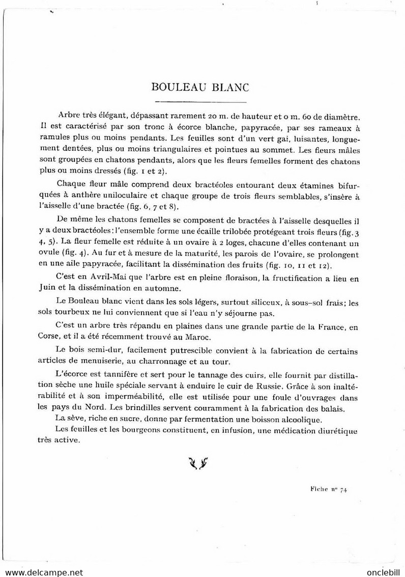 Plantes Médicinales 5 Planches Aubépine Bouleau Cassis... Publicité Exibard 1920 Très Bon état - Medicinal Plants